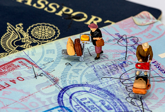 Visa Preparation & Mocks step