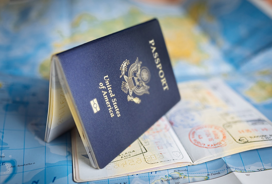 Visa Application Support step