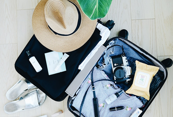 Travel Preparation step